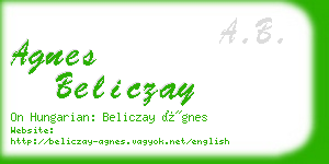 agnes beliczay business card
